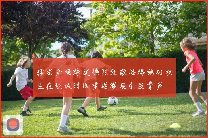猛龙全场球迷热烈致敬洛瑞绝对功臣在垃圾时间重返赛场引发掌声