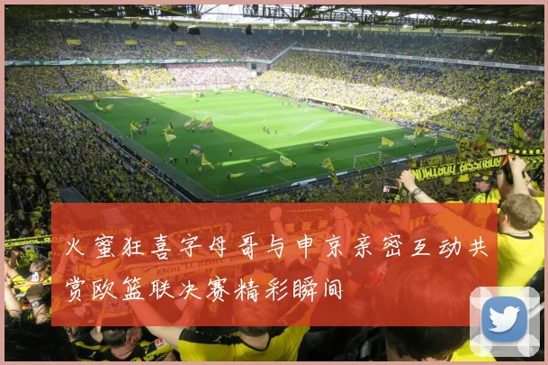 火蜜狂喜字母哥与申京亲密互动共赏欧篮联决赛精彩瞬间